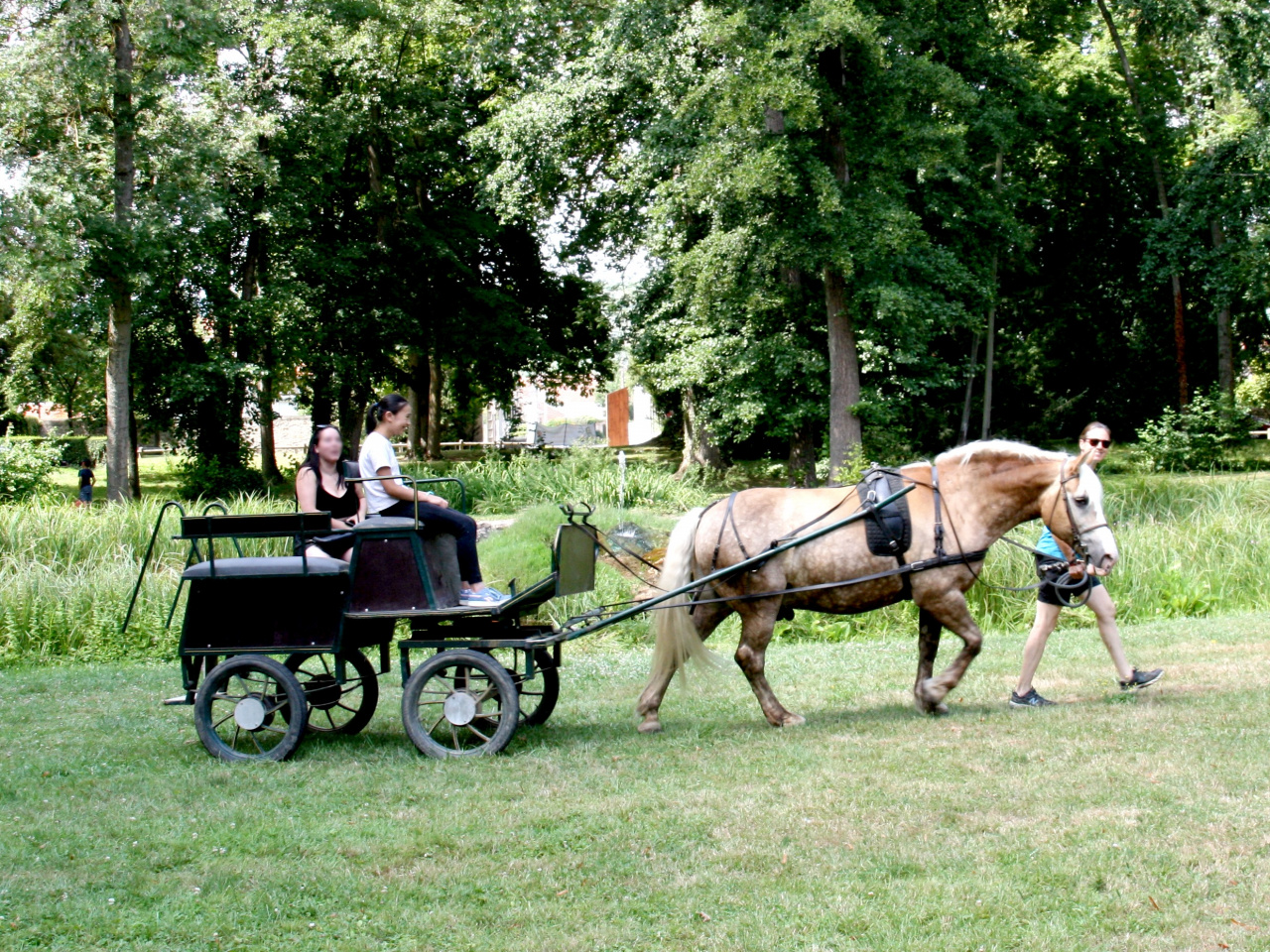 Balades en calèche et poney au Festival Le Dormantastique