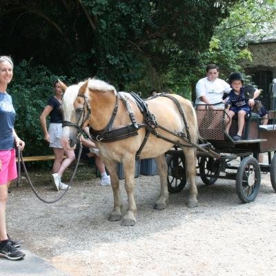Dormantastique2026-1